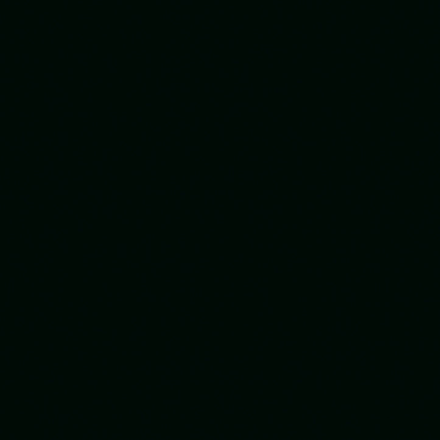 Spray Paint - Black